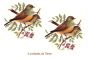 PAJARO-C-70mmx2un.jpg