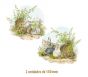 CoelhoA_130mmx2un.jpg
