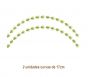 FLOWEROFTHEYEAR-Curva-17cm.jpg
