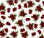 TAPETE - POINSETIALARGE.jpg