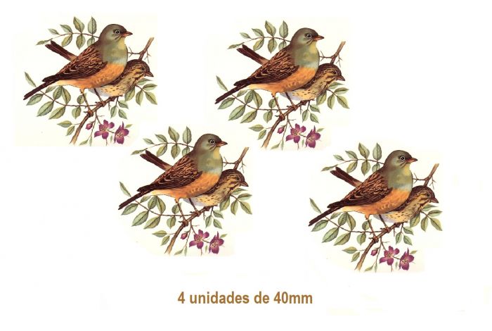 PAJARO-C-40mmx4un.jpg