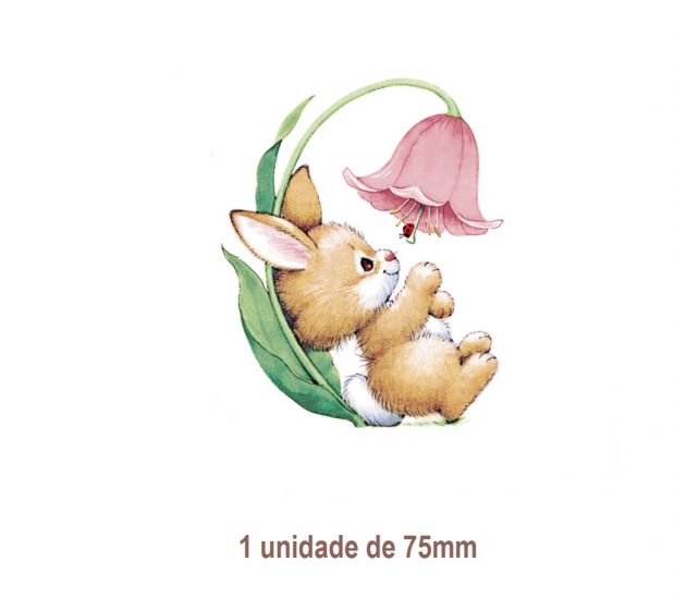 BUNNYANDLADYBUG-75mmx1un.jpg