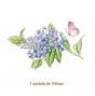 D_BlueBranch-190mm.jpg