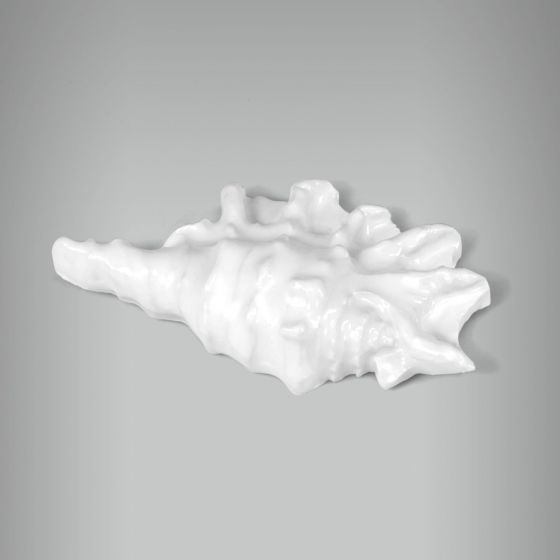 Aplique Concha Murex 1