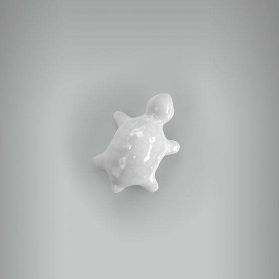 Tartaruguinha Mini 1