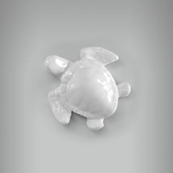 Tartaruguinha 1