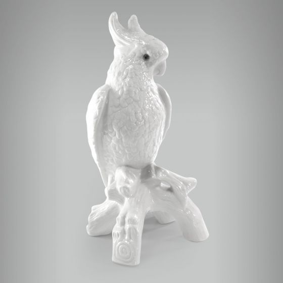 Cacatua sem Arrepio 1
