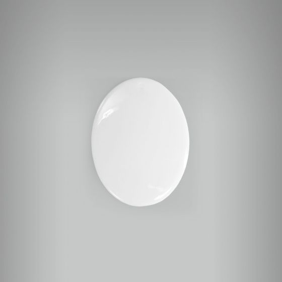 Medalha Oval 20 sem Furo 5,5cm x 4cm 1