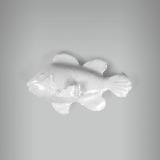 Aplique Peixe Nemo 1
