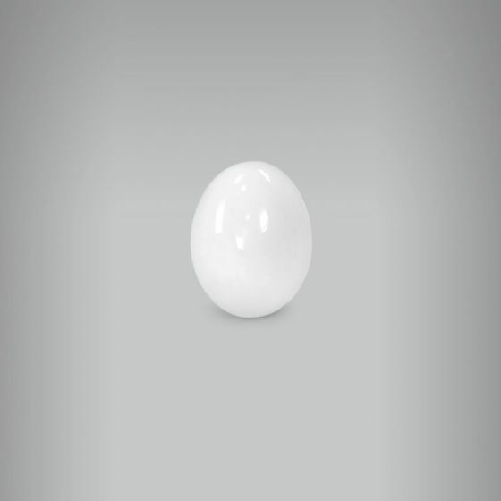 Ovo Codorna 1