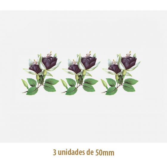 D_Violet_Fucsia_50mmx3un.jpg