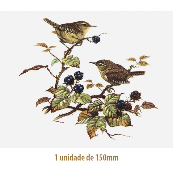D_Wren_150mmx1un_A.JPG