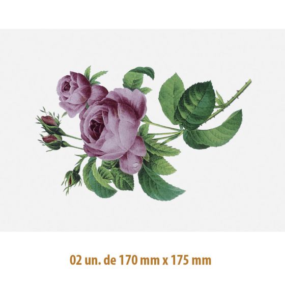 D-Rose-A-170x175mm-2.jpg