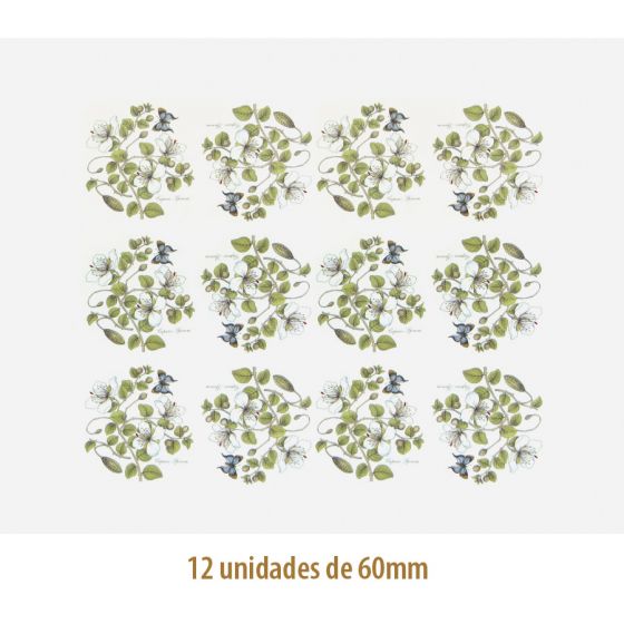 D_Caparis_60mmx12un_A.JPG