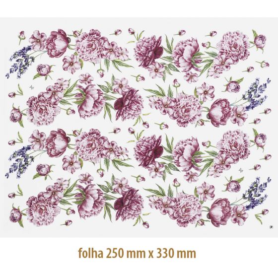 Flor-de-Maria-2.jpg