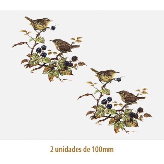 D_Wren_100mmx2un_A.JPG