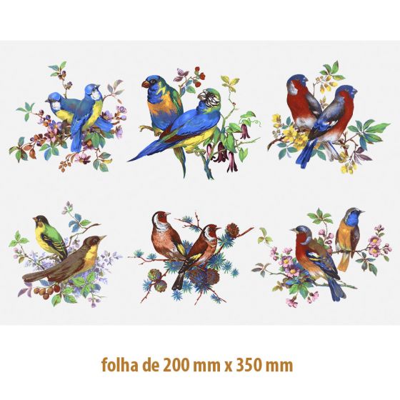 D-BEAUTY-BIRDS-130-0.jpg