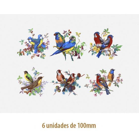 D-BEAUTY-BIRDS-100.jpg