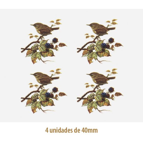 D_Wren_40mmx4un_A.JPG