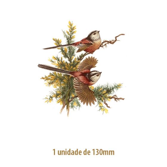 D_LongTailed-130mmx1un.jpg
