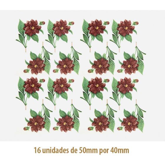 D_Dalea_50x40mmx16un_A.JPG