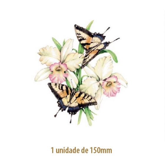 D_OrchidDaisy-150mm.jpg