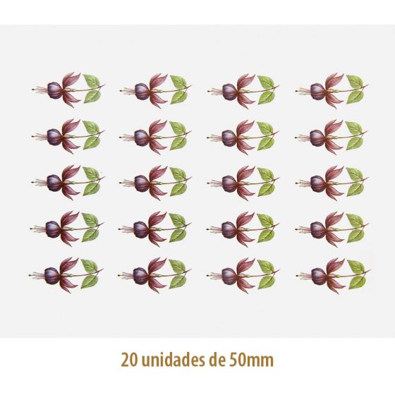 D_Fucsia_Popple_50mmx20un_A.JPG