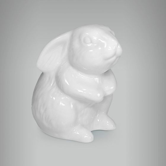 Coelho Branco 1