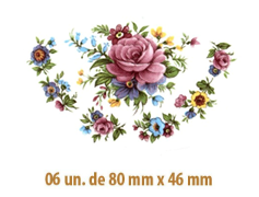 Clau F - 80x46mmX6un 1