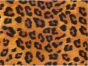 TAPETE - LEOPARD.jpg