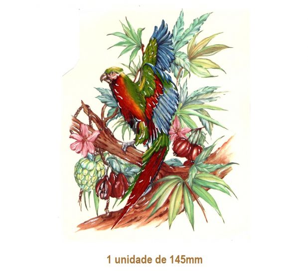 Amazonias-145mmx1un.jpg