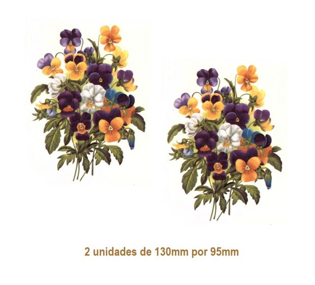 Antonieta-130mmx2un.jpg