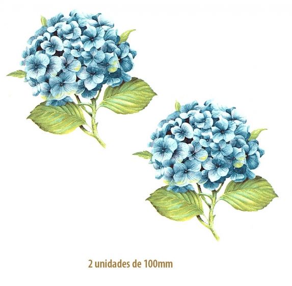 Hortensia-Azul-100mmx2un.jpg