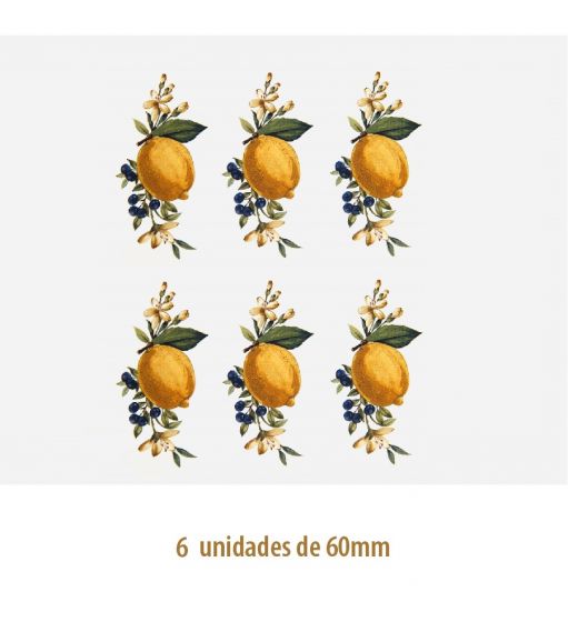D_Lemon_60mmx6un_A.jpg