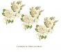 Mistflower-135x85mmx3un.jpg