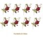 D_Rosagallica-50mmx8un.jpg