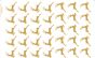 Ouro Rena 01 1