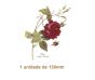 Rosa Gallica - 130mm 1