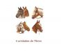 Horse-70mm.jpg