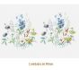 D_Meadow-90mmx2un_A.jpg
