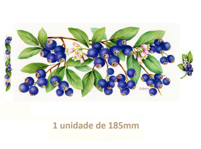 Blueberries - 185mm x 1un 1