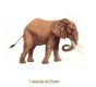 Elephant-95mm.jpg
