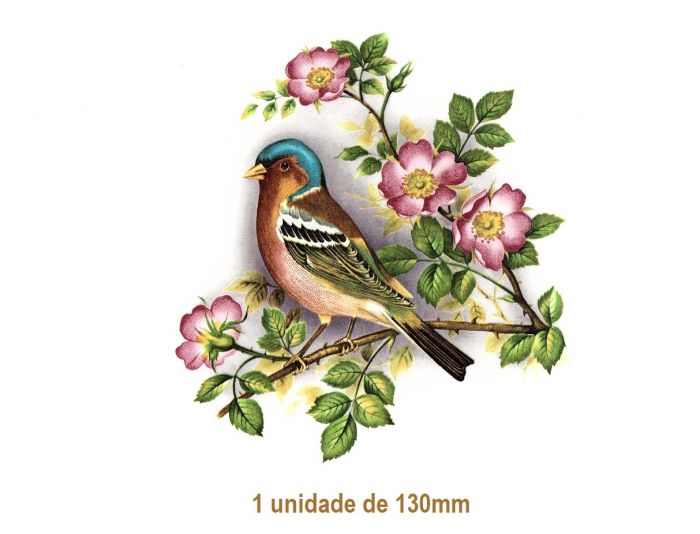BIRD-130mm.jpg