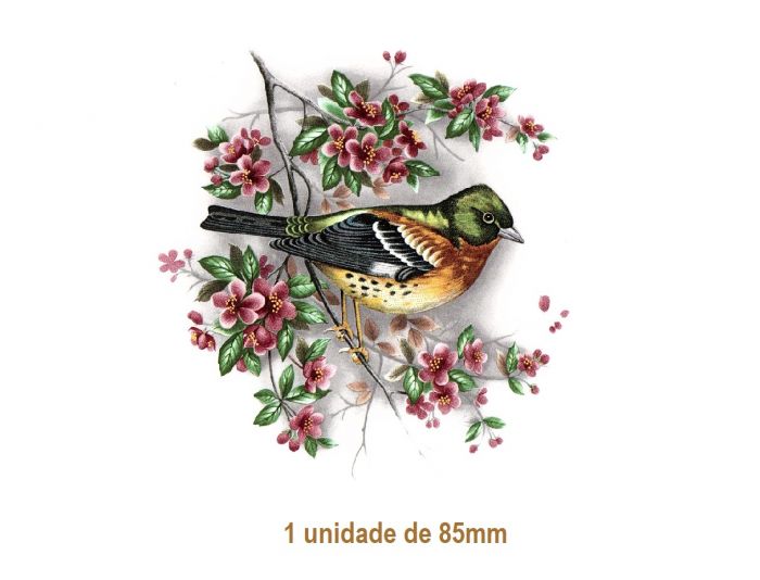 BIRD-ON-CHERYBLOSSOM-85mm.jpg