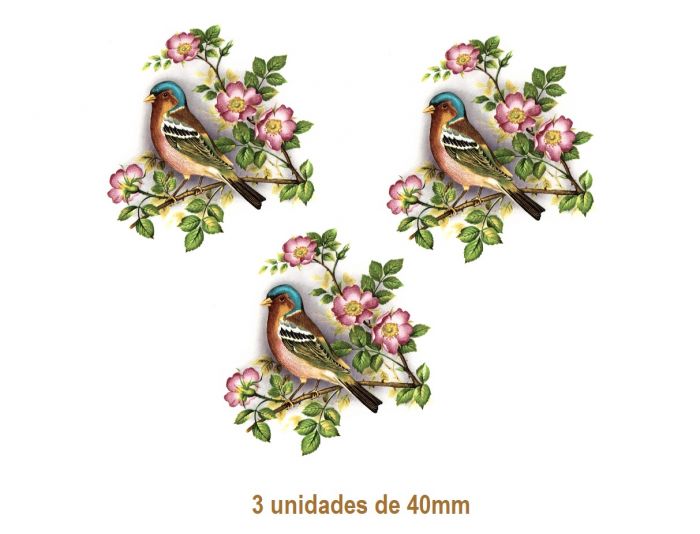 BIRD-40mmx3un.jpg