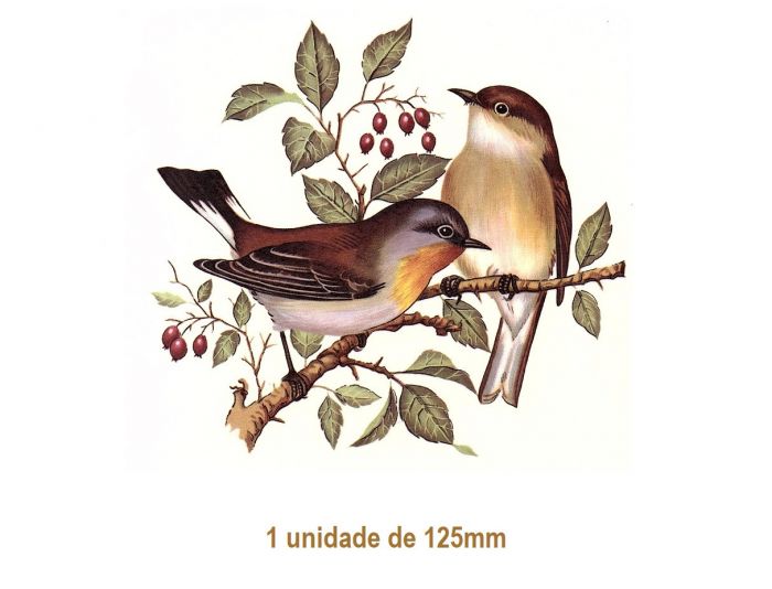 Pajaro A - 125mm 1