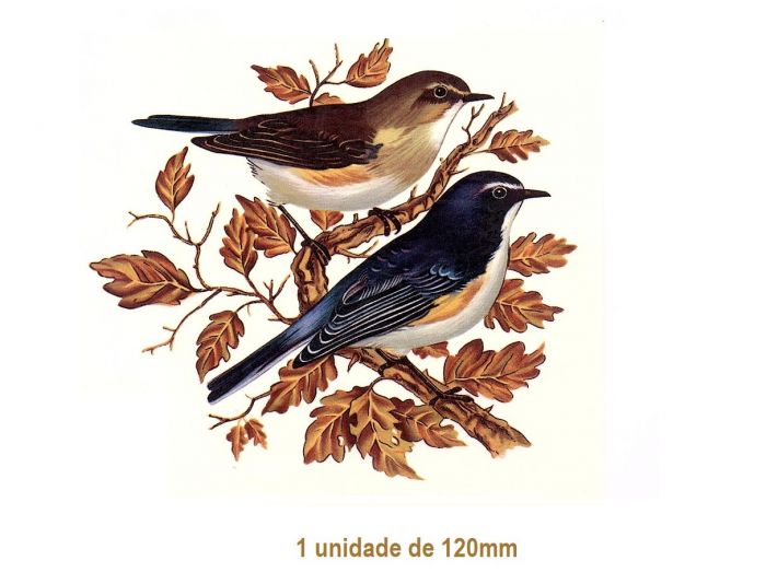 Pajaro B - 120mm 1