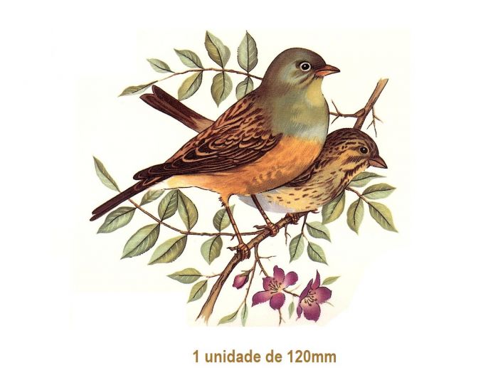 Pajaro C - 120mm 1