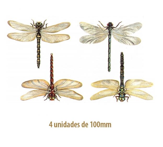 LIBELLULES - 100mmx4un.jpg