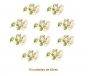 Mistflower-H-45mmx10un.jpg
